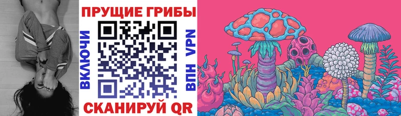 Галлюциногенные грибы мицелий  Купить где  Чухлома 